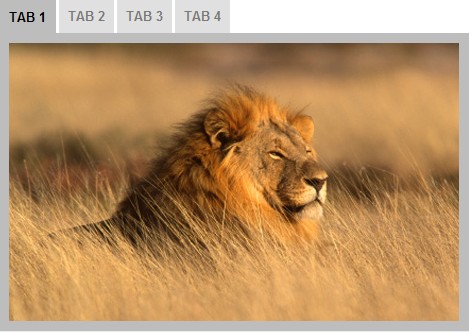 TN34 Timetabs – jQuery Plugin