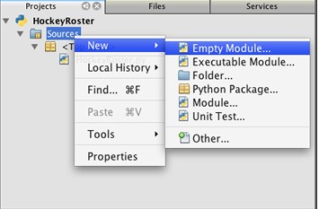 使用 NetBeans IDE 开发 Python 应用程序