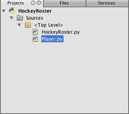 使用 NetBeans IDE 开发 Python 应用程序