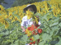 鱼眼反射 宏碁超短焦投影机U5200测试 