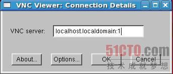 输入VNC Server地址