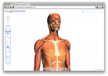 Body Browser