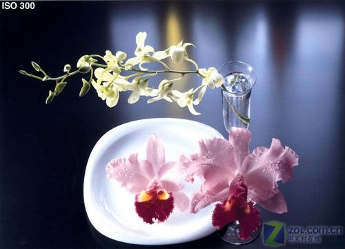 专业品质输出 <a class=a_key target=_blank href=http://price.sosol.com.cn/pri_list_brand_1743.html>佳能</a> 腾彩iP3680喷打首测 