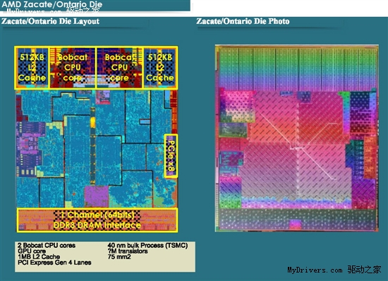 AMD山猫低功耗架构进军服务器？很难说