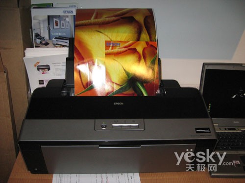 爱普生 Stylus Photo R1900大幅面打印机