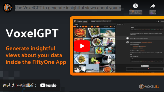VoxelGPT正在运行（视频由作者提供）