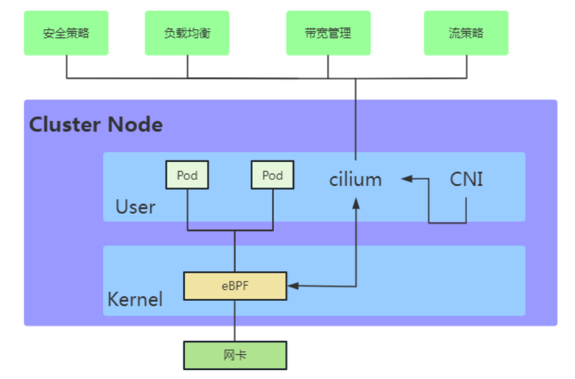 图9 Cilium项目组件分布图
