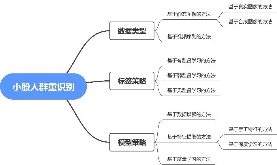 图 4 小股人群重识别分类示意图