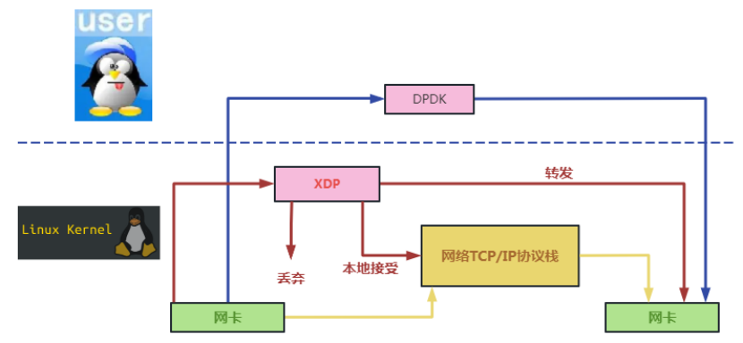 图8 数据流在XDP和DPDK数据平面上的走向差异