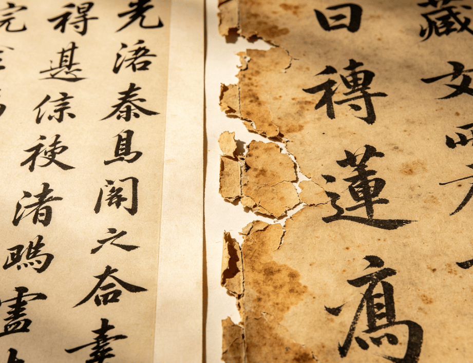 微信图片_20260425151951_950_40.png