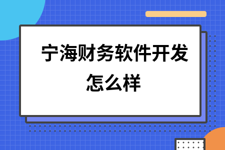 宁海财务软件开发怎么样