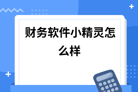 财务软件小精灵怎么样