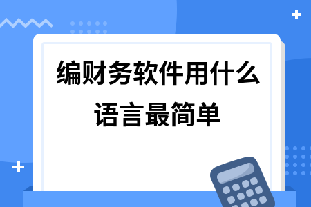 编财务软件用什么语言最简单