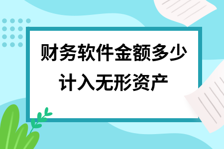 财务软件金额多少计入无形资产