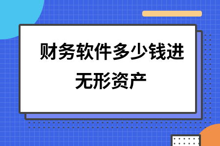 财务软件多少钱进无形资产