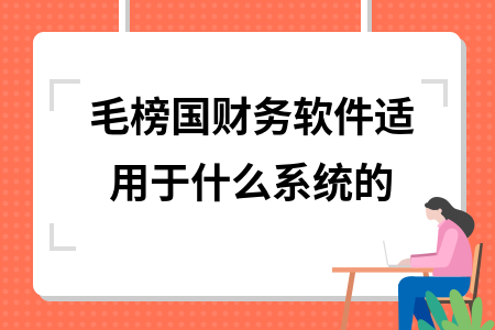 毛榜国财务软件适用于什么系统的