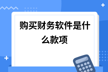 购买财务软件是什么款项