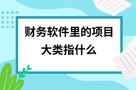 财务软件里的项目大类指什么