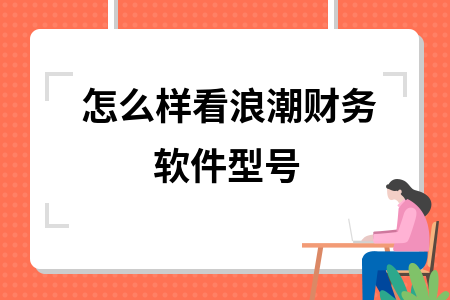 怎么样看浪潮财务软件型号