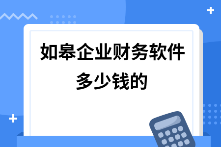 如皋企业财务软件多少钱的