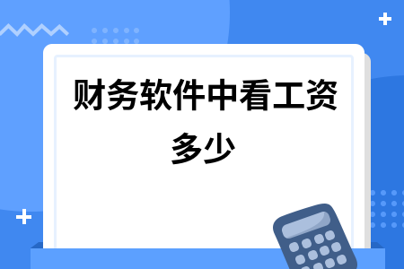 财务软件中看工资多少