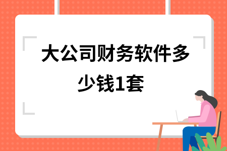 大公司财务软件多少钱1套