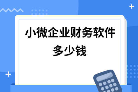 小微企业财务软件多少钱