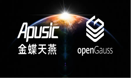 金蝶天燕和金蝶的关系
