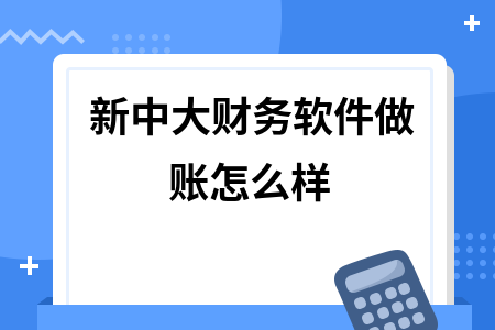 新中大财务软件做账怎么样