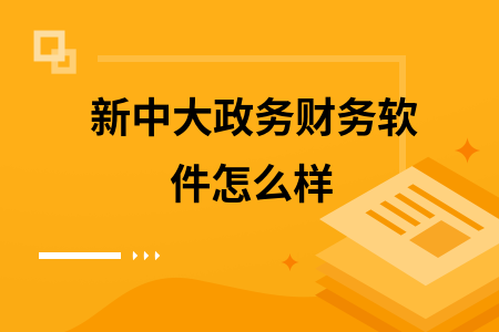 新中大政务财务软件怎么样