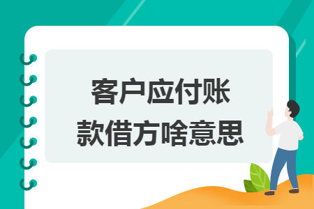客户应付账款借方啥意思