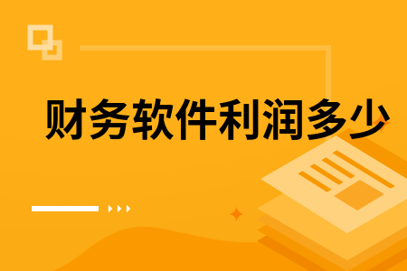 财务软件利润多少