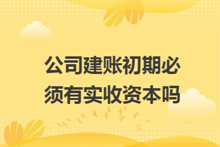 公司建账初期必须有实收资本吗