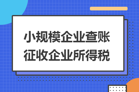 小规模企业查账征收企业所得税