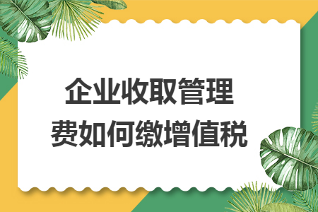 企业收取管理费如何缴增值税