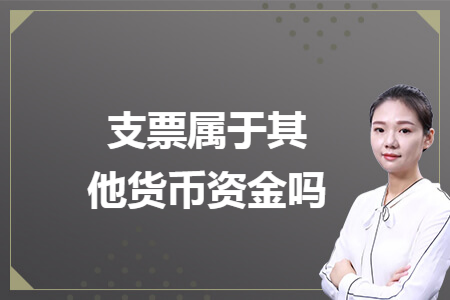 支票属于其他货币资金吗