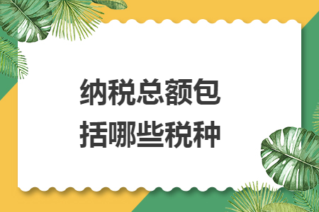 纳税总额包括哪些税种