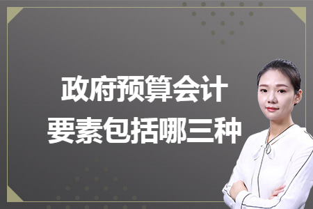 政府预算会计要素包括哪三种 政府预算会计要素包括哪三种