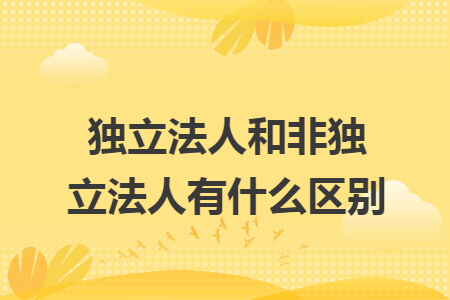 独立法人和非独立法人有什么区别