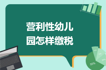 营利性幼儿园怎样缴税