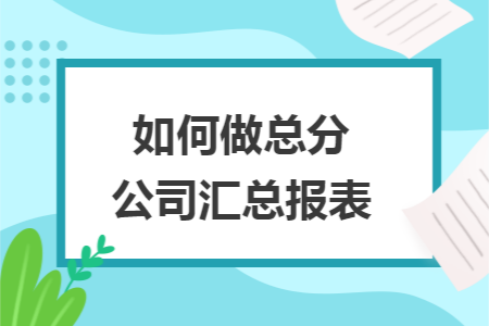 如何做总分公司汇总报表