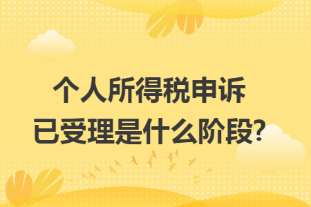 个人所得税申诉已受理是什么阶段?
