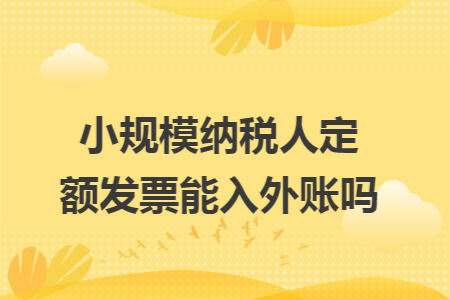 小规模纳税人定额发票能入外账吗