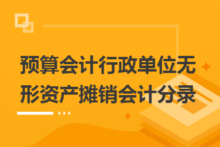 预算会计行政单位无形资产摊销会计分录 预算会计行政单位无形资产摊销会计分录