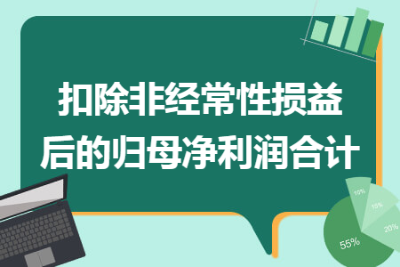 扣除非经常性损益后的归母净利润合计