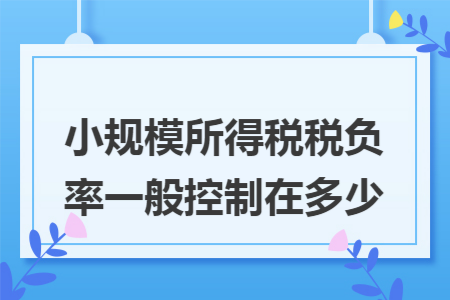 小规模所得税税负率一般控制在多少 小规模所得税税负率一般控制在多少