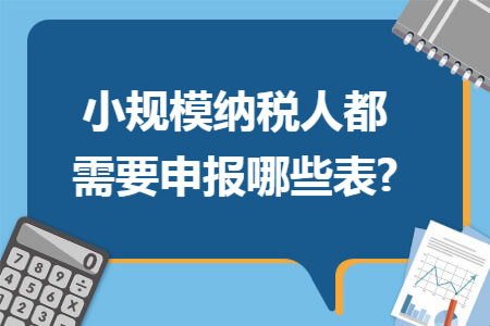 小规模纳税人都需要申报哪些表? 小规模纳税人都需要申报哪些表?