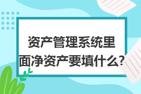 资产管理系统里面净资产要填什么?