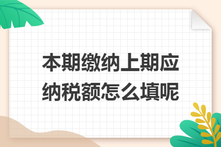 本期缴纳上期应纳税额怎么填呢