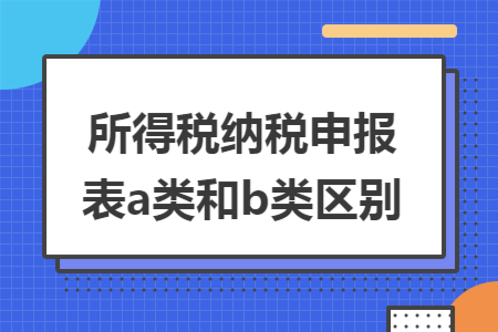 所得税纳税申报表a类和b类区别
